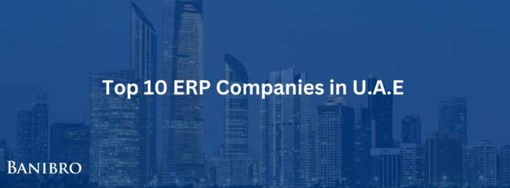 Top 10 ERP Companies in UAE