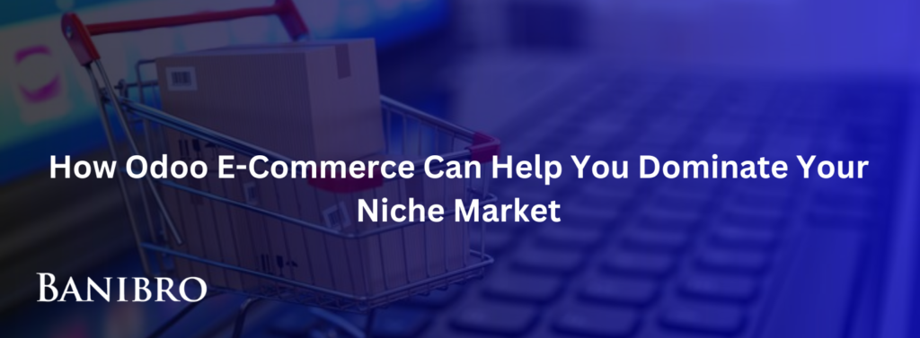 How-Odoo-E-Commerce-Can-Help-You-Dominate-Your-Niche-Market